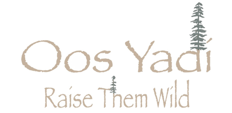 Oos Yadi logo