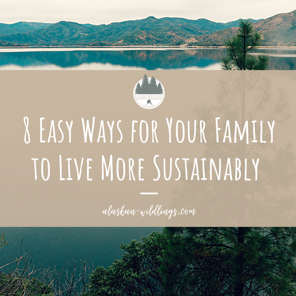 8 Easy Ways for Your Family to Live More Sustainably