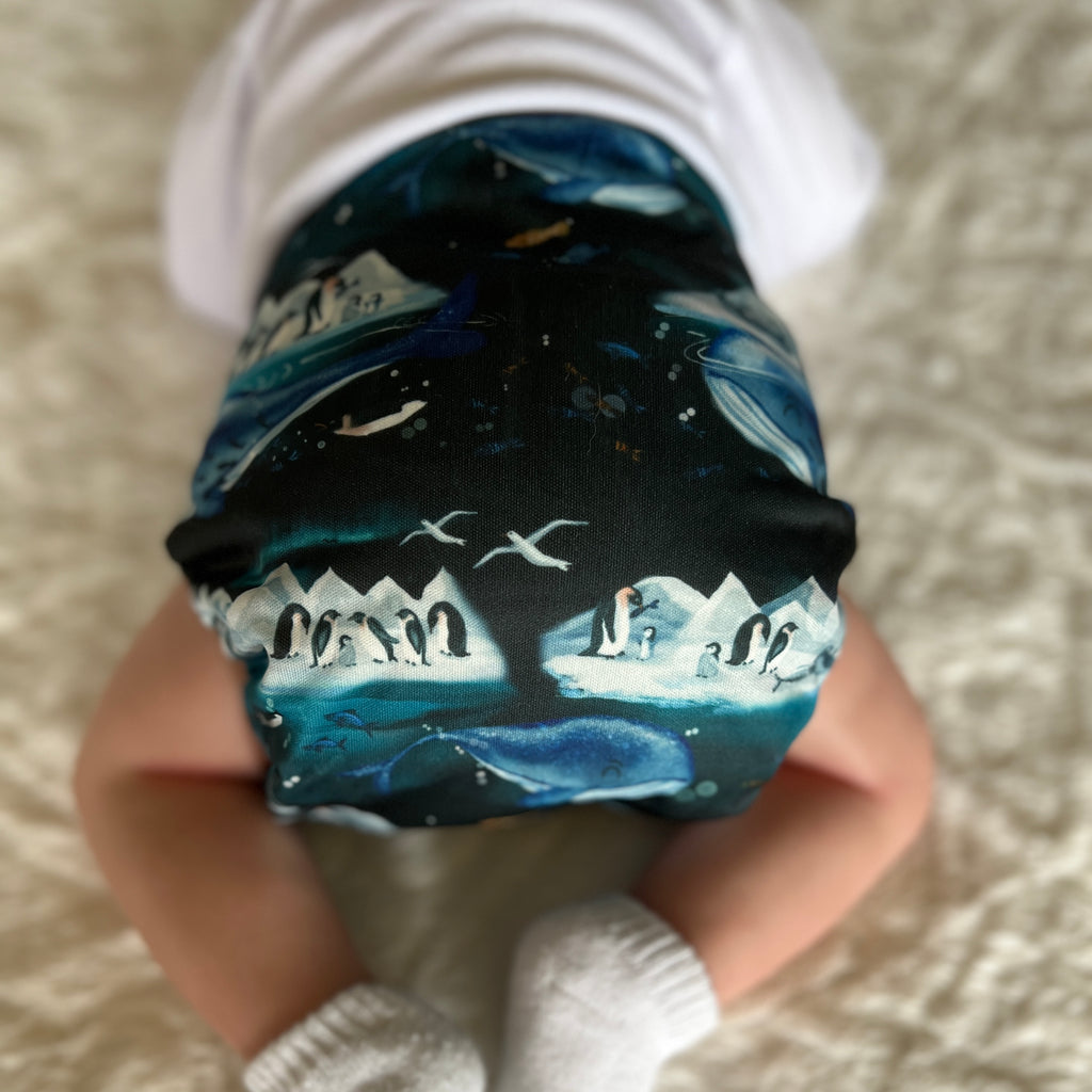 Arctic Cloth Pocket Diapers | Arctic Pocket cloth Diaper | Oos Yadi